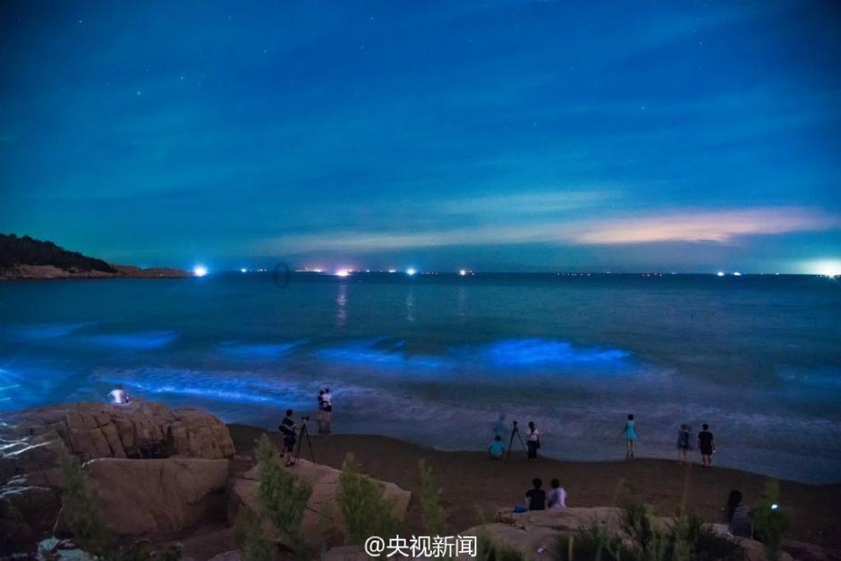 蓝点的冒险