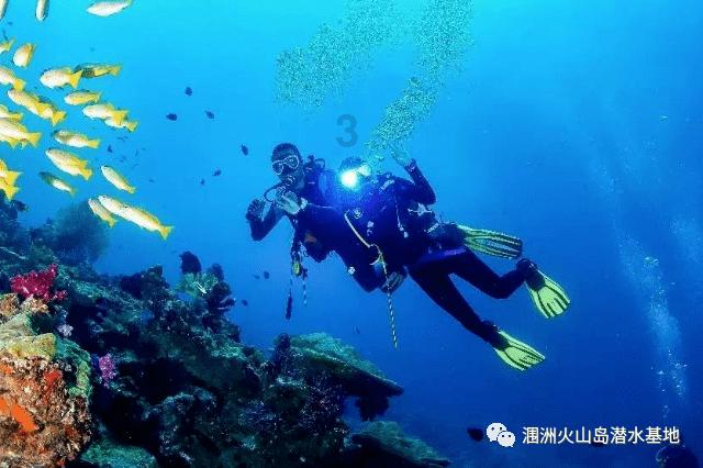 西瓜地逃生