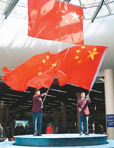 拯救机灵鸟